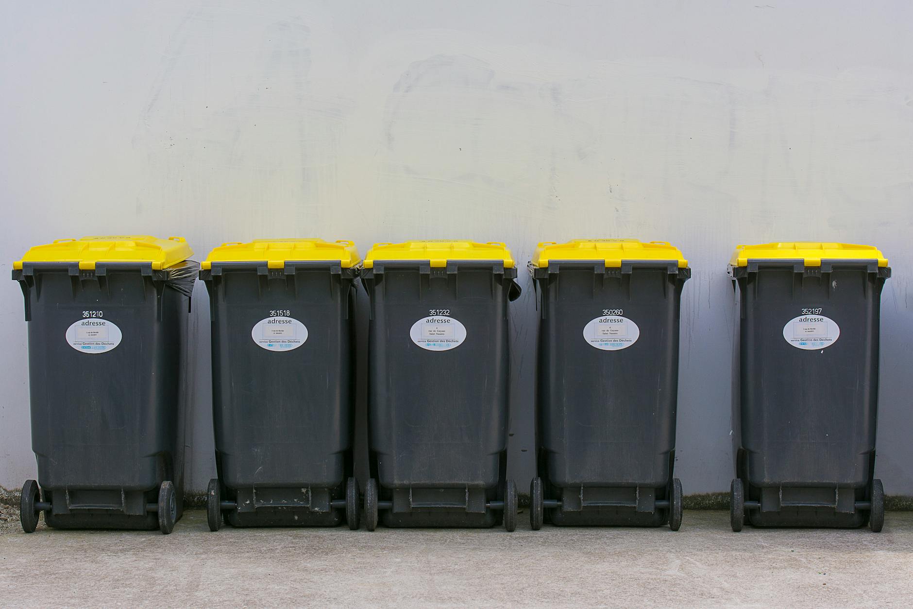 trash bins with yellow lids lined up under wall